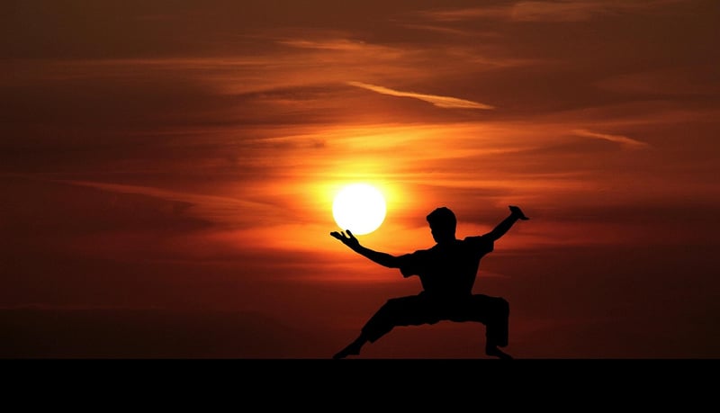 Mindful Tai Chi Forms