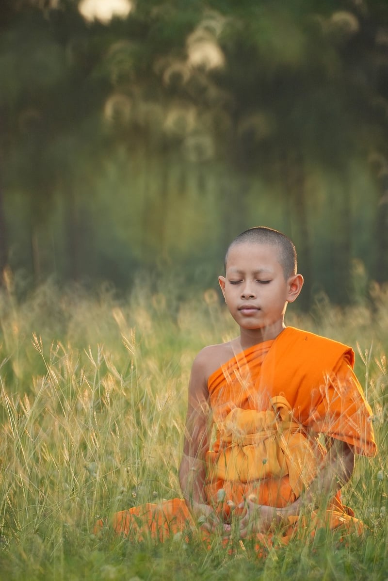 Seated Meditation